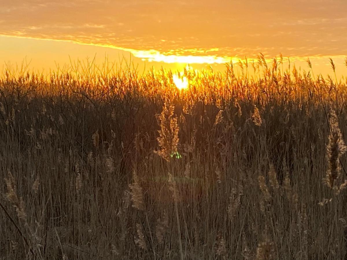 Przystan Szmaragd Daire Pierwoszyno Dış mekan fotoğraf